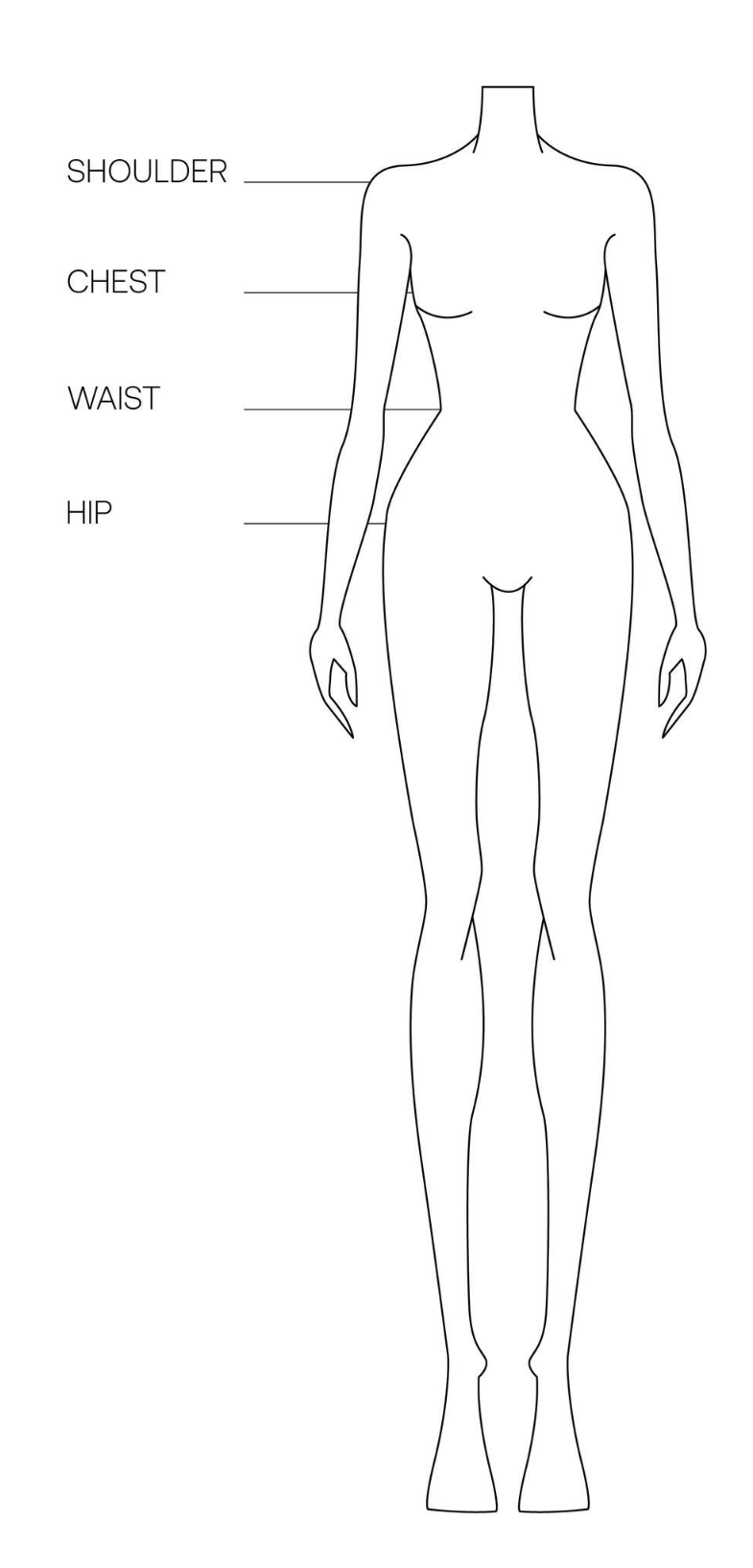 BYDI body measurement guide showing shoulder, chest, waist and hip positions